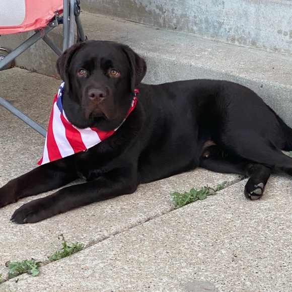 Meet your Posher, Doug . Pictured are my wife Tammy and her retired SD Bear. - Picture 2 of 2